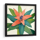 Tropical Iii - Megan Meagher | Cuadro decorativo de Canvas Lab