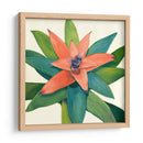 Tropical Iii - Megan Meagher | Cuadro decorativo de Canvas Lab