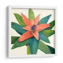 Tropical Iii - Megan Meagher | Cuadro decorativo de Canvas Lab