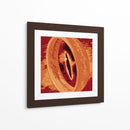 The Ring on fire | Cuadro decorativo de Canvas Lab