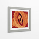 The Ring on fire | Cuadro decorativo de Canvas Lab
