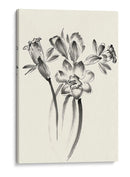 Lavado De Tinta Floral I - Narcisos - Nan Rae | Cuadro decorativo de Canvas Lab