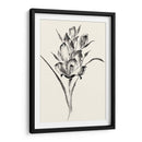 Lavado De Tinta Floral Ii - Gladiolo - Nan Rae | Cuadro decorativo de Canvas Lab
