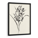 Lavado De Tinta Floral Ii - Gladiolo - Nan Rae | Cuadro decorativo de Canvas Lab