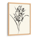 Lavado De Tinta Floral Ii - Gladiolo - Nan Rae | Cuadro decorativo de Canvas Lab