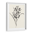 Lavado De Tinta Floral Ii - Gladiolo - Nan Rae | Cuadro decorativo de Canvas Lab
