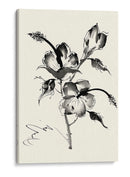 Lavado De Tinta Floral Iii - Hibiscus - Nan Rae | Cuadro decorativo de Canvas Lab