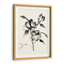 Lavado De Tinta Floral Iii - Hibiscus - Nan Rae | Cuadro decorativo de Canvas Lab