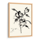 Lavado De Tinta Floral Iii - Hibiscus - Nan Rae | Cuadro decorativo de Canvas Lab