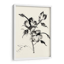 Lavado De Tinta Floral Iii - Hibiscus - Nan Rae | Cuadro decorativo de Canvas Lab