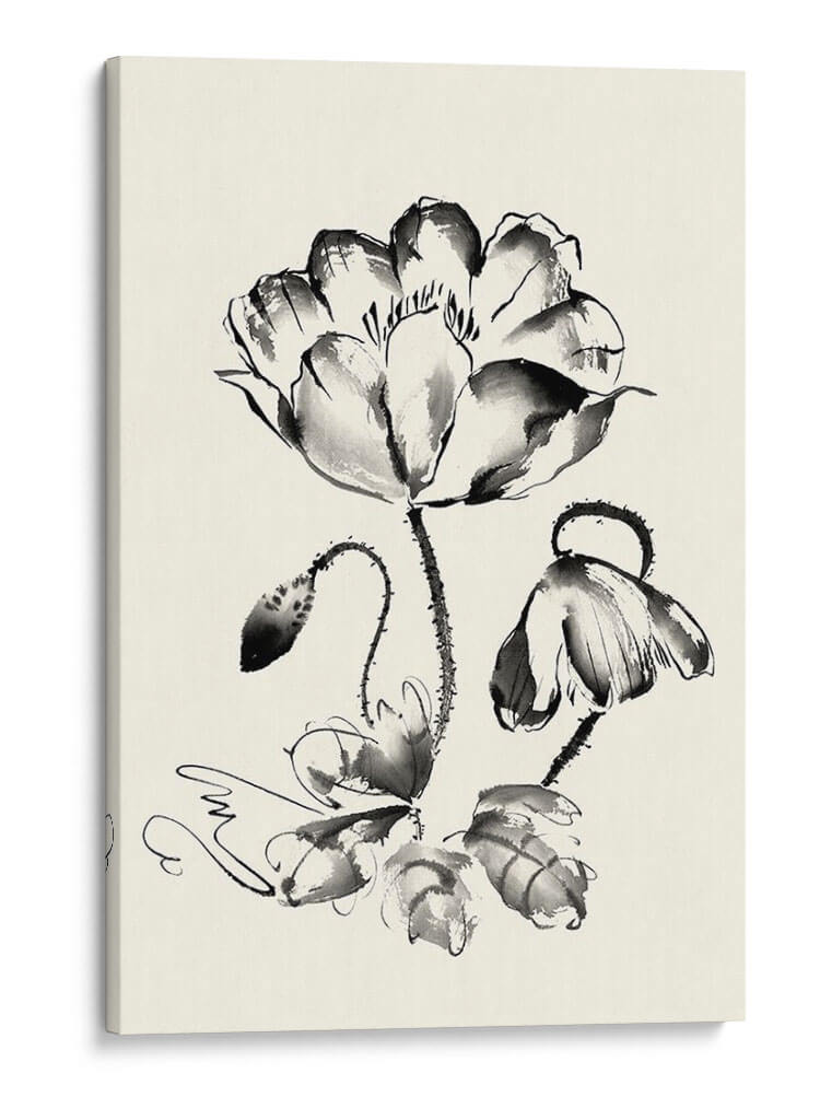 Lavado De Tinta Floral Iv - Amapola - Nan Rae | Cuadro decorativo de Canvas Lab