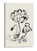 Lavado De Tinta Floral Iv - Amapola - Nan Rae | Cuadro decorativo de Canvas Lab