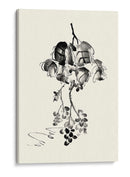 Lavado De Tinta Floral V - Uvas - Nan Rae | Cuadro decorativo de Canvas Lab