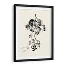 Lavado De Tinta Floral V - Uvas - Nan Rae | Cuadro decorativo de Canvas Lab