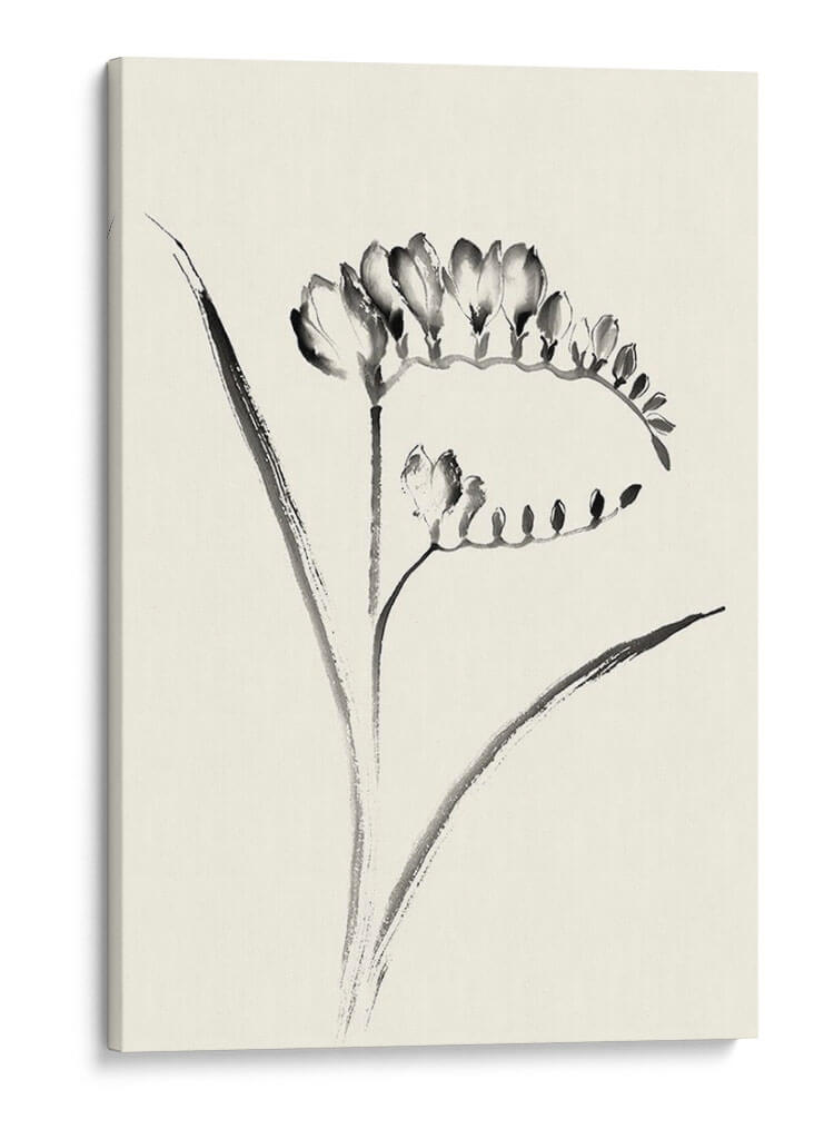 Lavado De Tinta Floral Vi - Freesia - Nan Rae | Cuadro decorativo de Canvas Lab