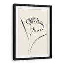 Lavado De Tinta Floral Vi - Freesia - Nan Rae | Cuadro decorativo de Canvas Lab