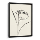 Lavado De Tinta Floral Vi - Freesia - Nan Rae | Cuadro decorativo de Canvas Lab