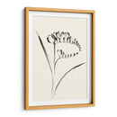 Lavado De Tinta Floral Vi - Freesia - Nan Rae | Cuadro decorativo de Canvas Lab