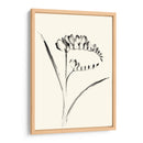 Lavado De Tinta Floral Vi - Freesia - Nan Rae | Cuadro decorativo de Canvas Lab