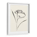 Lavado De Tinta Floral Vi - Freesia - Nan Rae | Cuadro decorativo de Canvas Lab