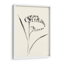 Lavado De Tinta Floral Vi - Freesia - Nan Rae | Cuadro decorativo de Canvas Lab