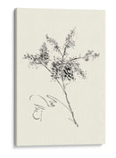 Lavado De Tinta Floral Vii - Forsythia - Nan Rae | Cuadro decorativo de Canvas Lab
