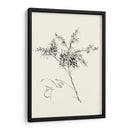 Lavado De Tinta Floral Vii - Forsythia - Nan Rae | Cuadro decorativo de Canvas Lab