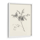 Lavado De Tinta Floral Vii - Forsythia - Nan Rae | Cuadro decorativo de Canvas Lab
