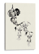 Lavado De Tinta Floral Viii - Fuchsia - Nan Rae | Cuadro decorativo de Canvas Lab