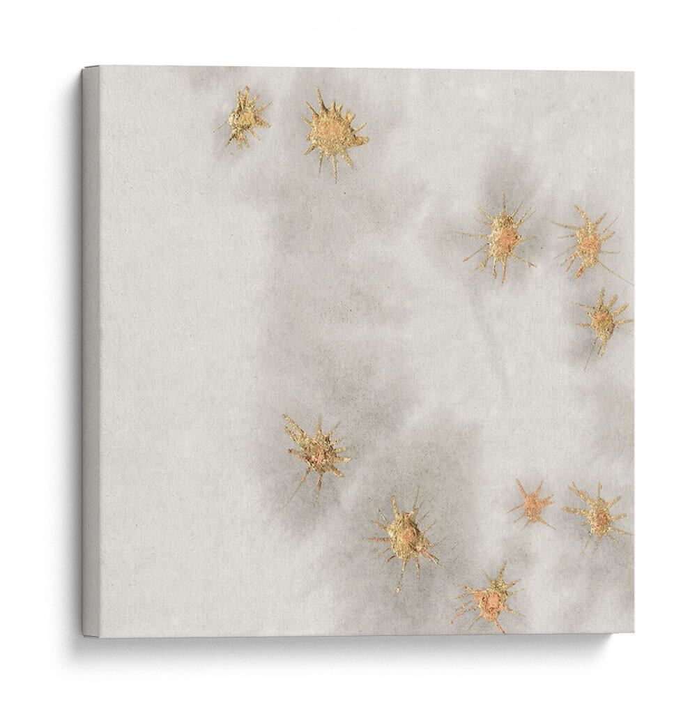 Spangled Grey Ii - Edward A.S. Douglas | Cuadro decorativo de Canvas Lab