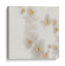 Spangled Grey Ii - Edward A.S. Douglas | Cuadro decorativo de Canvas Lab