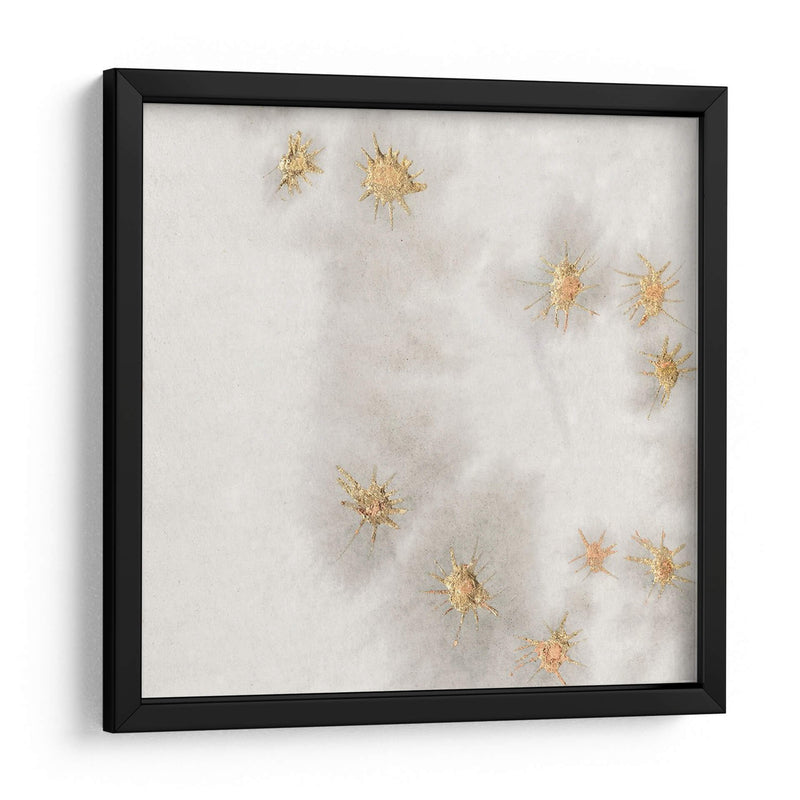 Spangled Grey Ii - Edward A.S. Douglas | Cuadro decorativo de Canvas Lab