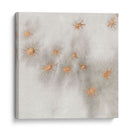Spangled Grey Iii - Edward A.S. Douglas | Cuadro decorativo de Canvas Lab