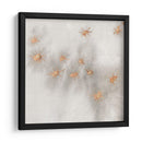 Spangled Grey Iii - Edward A.S. Douglas | Cuadro decorativo de Canvas Lab