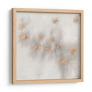 Spangled Grey Iii - Edward A.S. Douglas | Cuadro decorativo de Canvas Lab