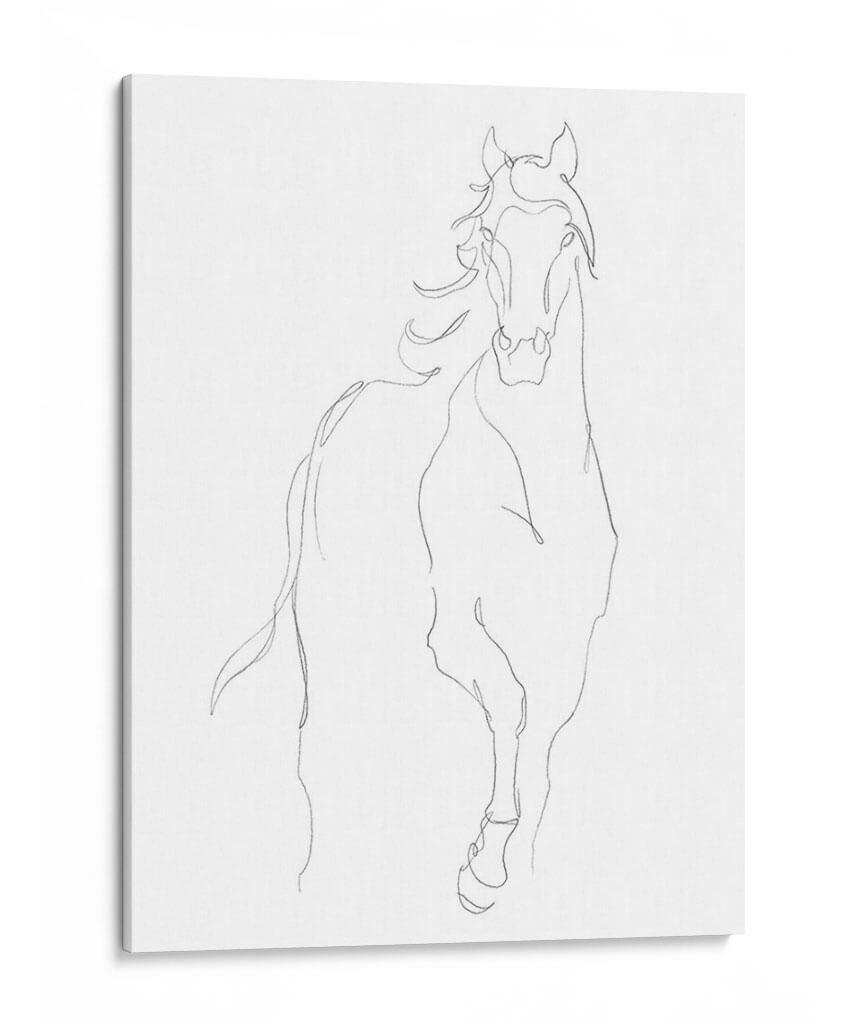 Contorno De Caballo I - Ethan Harper | Cuadro decorativo de Canvas Lab