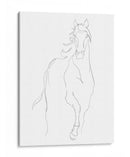 Contorno De Caballo I - Ethan Harper | Cuadro decorativo de Canvas Lab