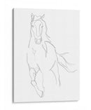 Contorno De Caballo Ii - Ethan Harper | Cuadro decorativo de Canvas Lab