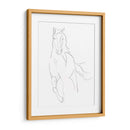 Contorno De Caballo Ii - Ethan Harper | Cuadro decorativo de Canvas Lab