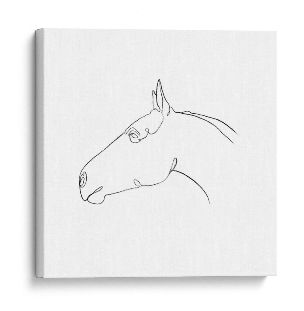 Contorno De Lápiz Equino I - Emma Scarvey | Cuadro decorativo de Canvas Lab
