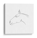 Contorno De Lápiz Equino I - Emma Scarvey | Cuadro decorativo de Canvas Lab