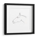 Contorno De Lápiz Equino I - Emma Scarvey | Cuadro decorativo de Canvas Lab