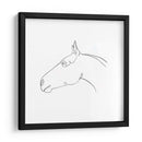 Contorno De Lápiz Equino I - Emma Scarvey | Cuadro decorativo de Canvas Lab