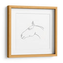Contorno De Lápiz Equino I - Emma Scarvey | Cuadro decorativo de Canvas Lab