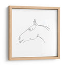 Contorno De Lápiz Equino I - Emma Scarvey | Cuadro decorativo de Canvas Lab