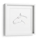 Contorno De Lápiz Equino I - Emma Scarvey | Cuadro decorativo de Canvas Lab