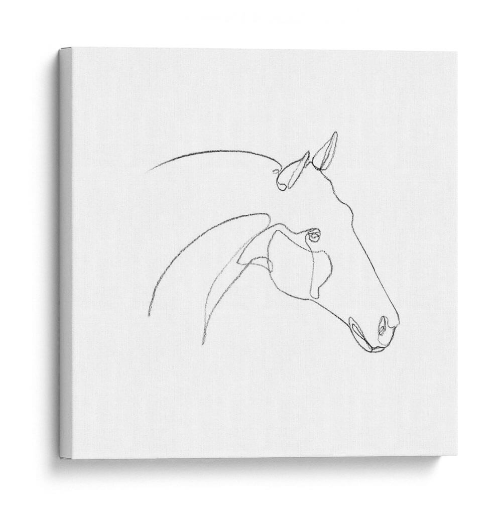 Contorno De Lápiz Equino Ii - Emma Scarvey | Cuadro decorativo de Canvas Lab