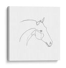 Contorno De Lápiz Equino Ii - Emma Scarvey | Cuadro decorativo de Canvas Lab