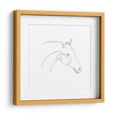 Contorno De Lápiz Equino Ii - Emma Scarvey | Cuadro decorativo de Canvas Lab