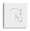 Contorno De Lápiz Equino Iv - Emma Scarvey | Cuadro decorativo de Canvas Lab